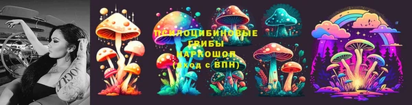 метадон Белокуриха