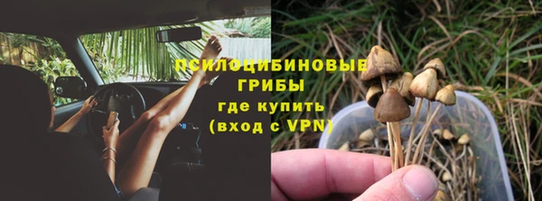 шишки Беломорск