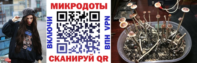 Купить  Горняк  Галлюциногенные грибы GOLDEN TEACHER 