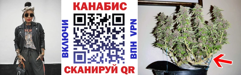 Купить где  Горняк  Шишки марихуана индика 